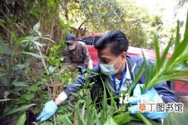 老鼠吃药后死前征兆 老鼠药多久发作
