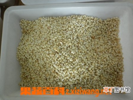 高粱米的功效与好处