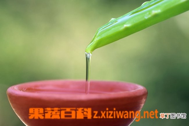 芦荟汁的功效与作用 喝芦荟汁的好处