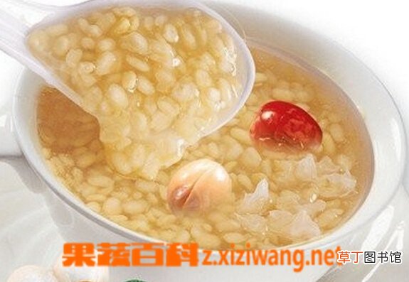 粳米粥的做法和功效作用