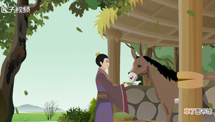 骡子是什么