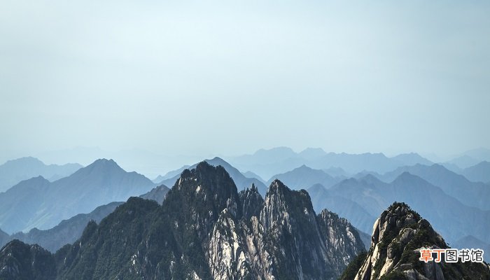 东升爬山什么梗