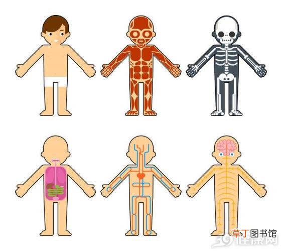 感染梅毒40年自己都不知道 梅毒的潜伏期是多久