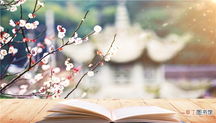 躇踌的意思