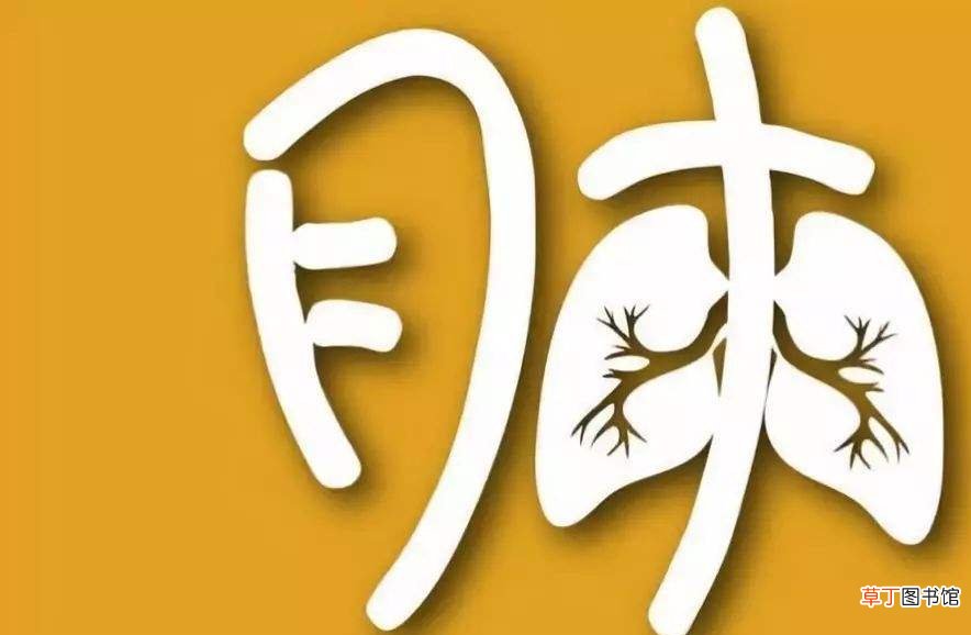 吸入灰尘太多怎么清肺-生活小知识