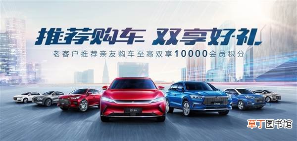 车主掏钱买积分 比亚迪商城开卖首饰：925纯银加18K金