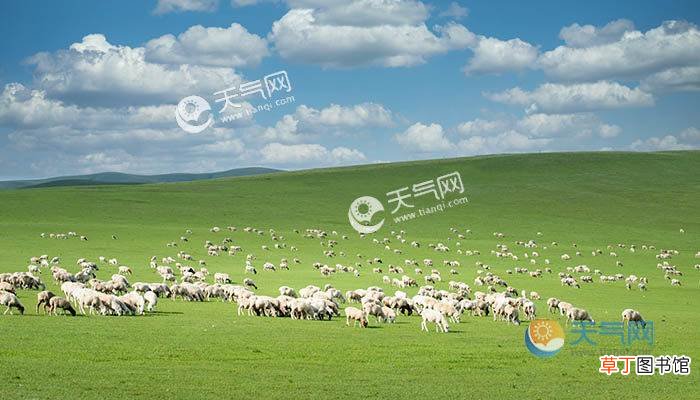 暑假适合带娃儿旅游的地方 2021暑期带娃旅游推荐国内