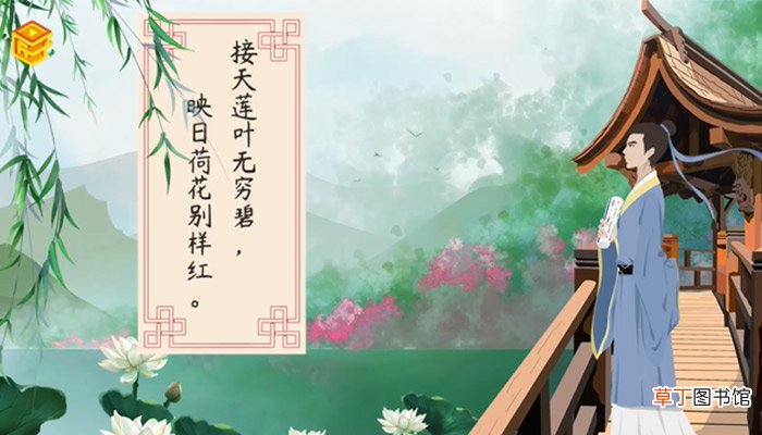 荷花的象征