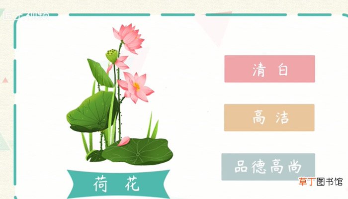 荷花的象征