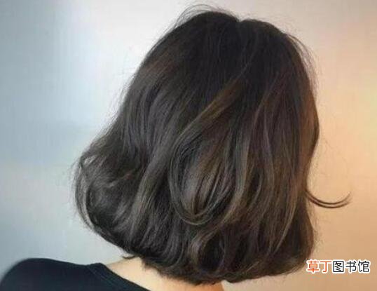 马齿菜能染发吗