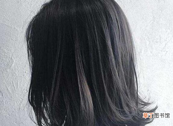 一个毛孔长多根头发