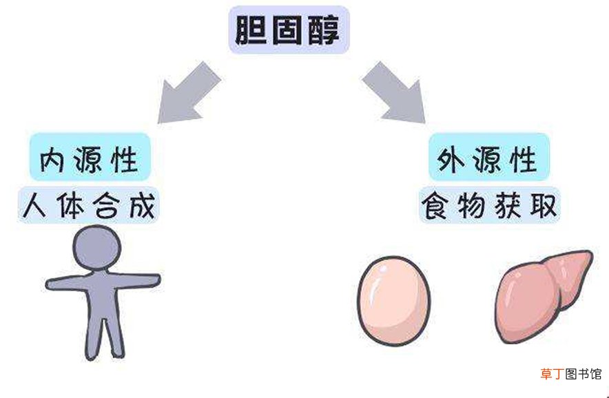 胆固醇是个&amp;amp;ldquo;坏东西&amp;amp;rdquo;吗-生活小知识