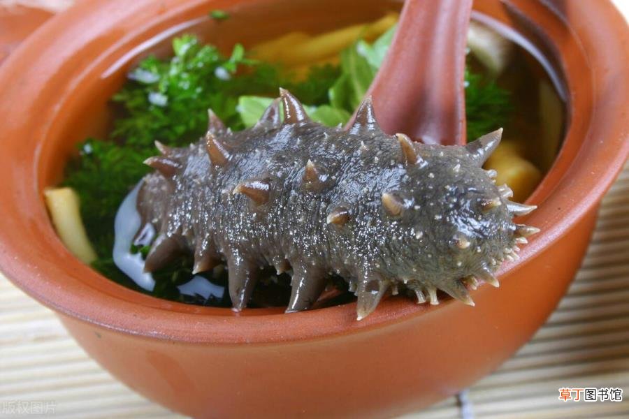 泡发好的海参煮多久可以吃 泡发海参煮多久