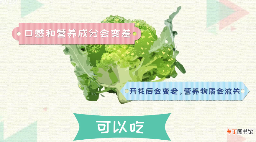 西兰花开花了还能吃吗