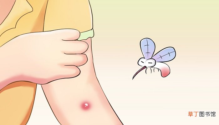 蚊子会在房间里产卵吗