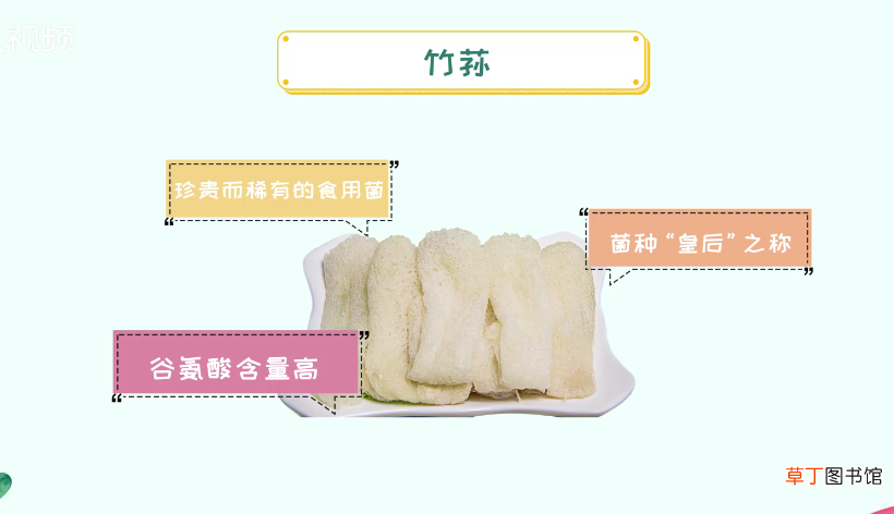 菌菇种类