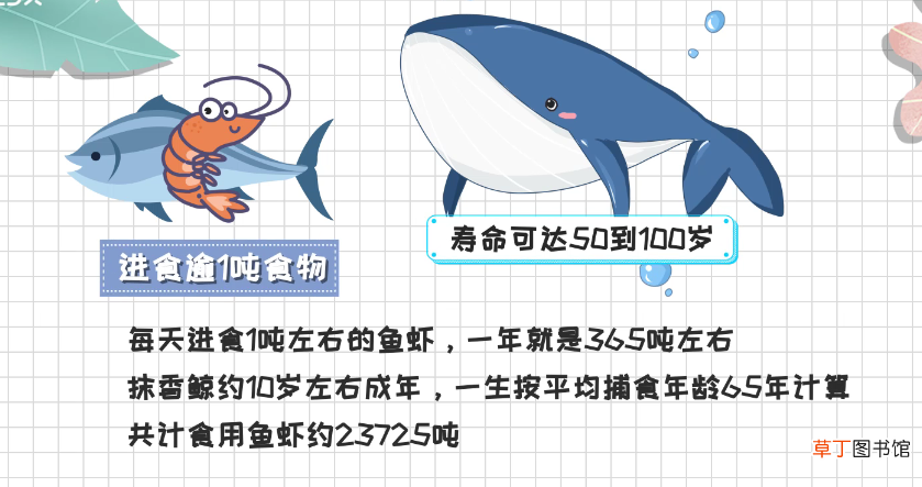 鲸落是什么意思