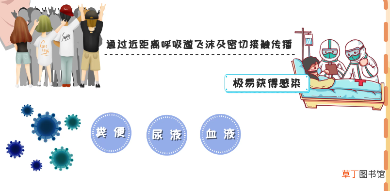 sars病毒是哪一年