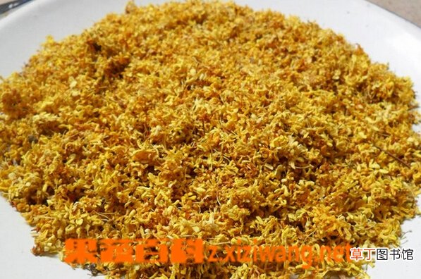 桂花的功效与作用 吃桂花的好处