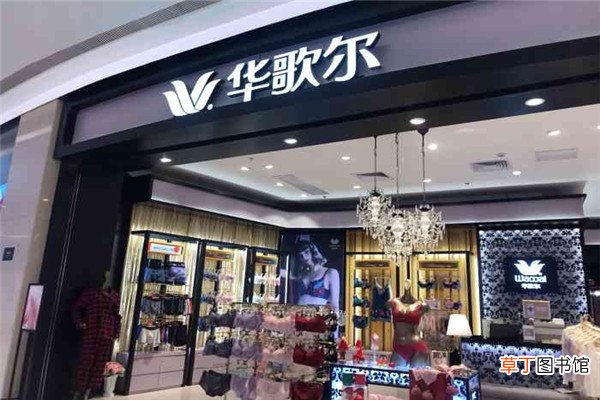 华歌尔是什么档次