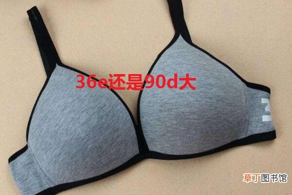 36e还是90d大
