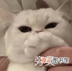 网友：隔着屏幕都有味道 掰脚趾大赛自信申请加入奥运会