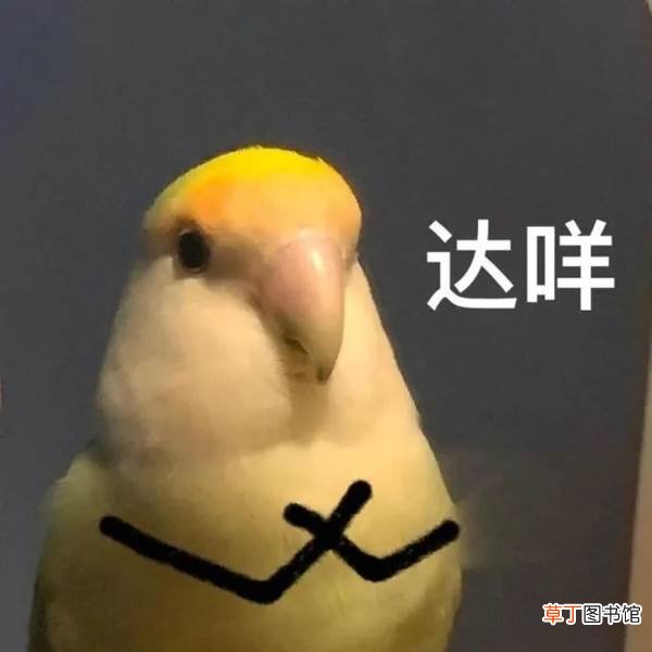 网友：隔着屏幕都有味道 掰脚趾大赛自信申请加入奥运会