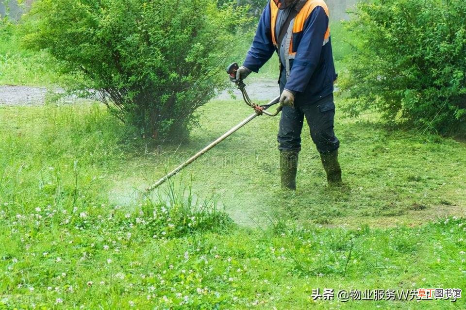 小区绿化分析 小区绿化多久