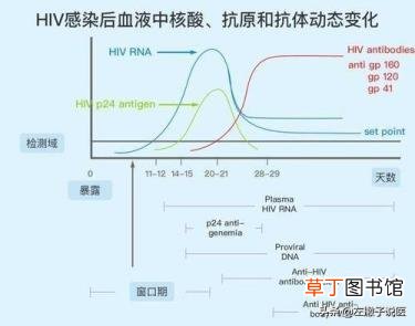 染上艾滋病多久能查出来 艾滋病感染多久可以检测出来