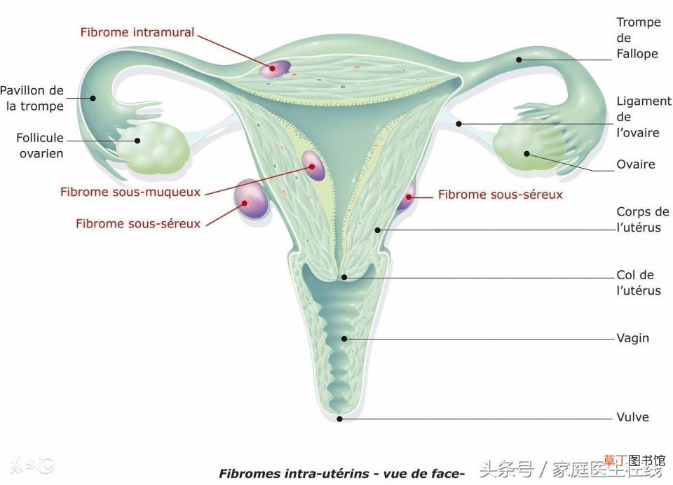 女人人流后多久会怀孕 做人流多久能怀孕