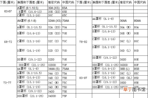 维密文胸适合中国人吗