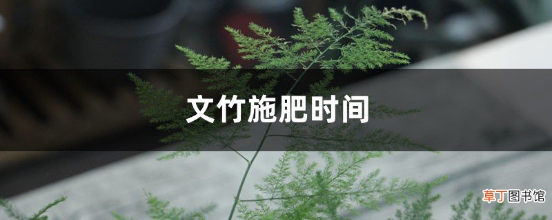 文竹施肥时间，怎样给文竹施肥