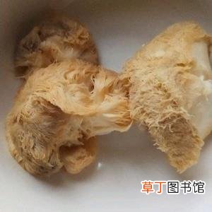 干猴头菇的吃法和做法 猴头菇泡多久
