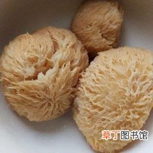 干猴头菇的吃法和做法 猴头菇泡多久