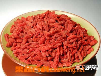 枸杞怎么吃补肾