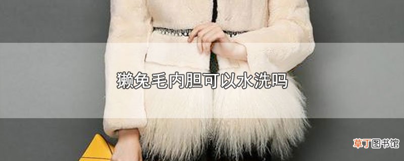 獭兔毛内胆可以水洗吗