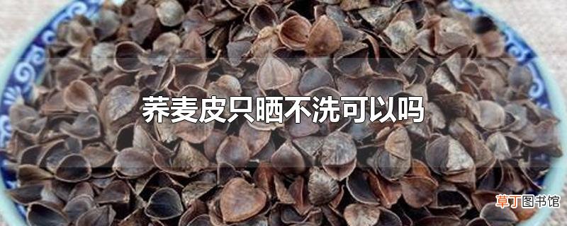 荞麦皮只晒不洗可以吗