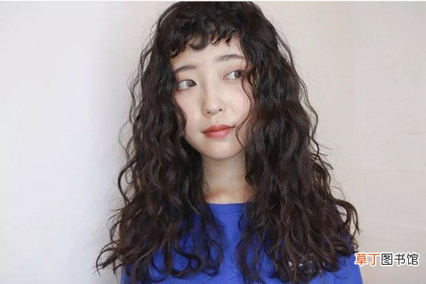蛋卷头和羊毛卷有什么区别