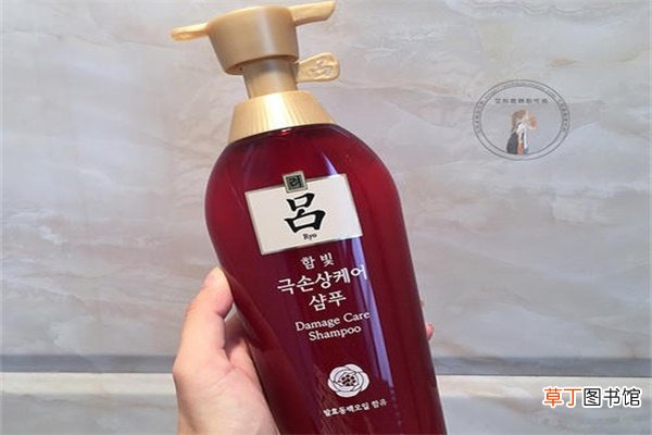 吕是哪个国家的品牌