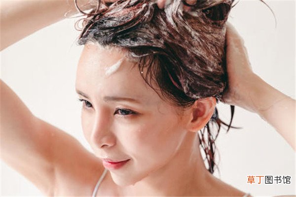 洗发露什么牌子好