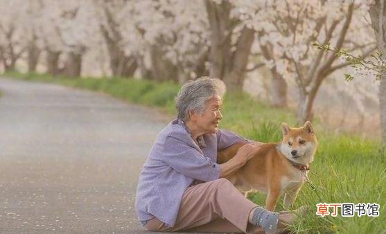 老年人适当进行娱乐活动 更加有助老年人身心健康