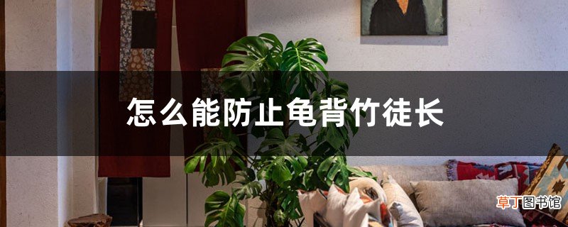怎么能防止龟背竹徒长，龟背竹可以使用矮壮素吗