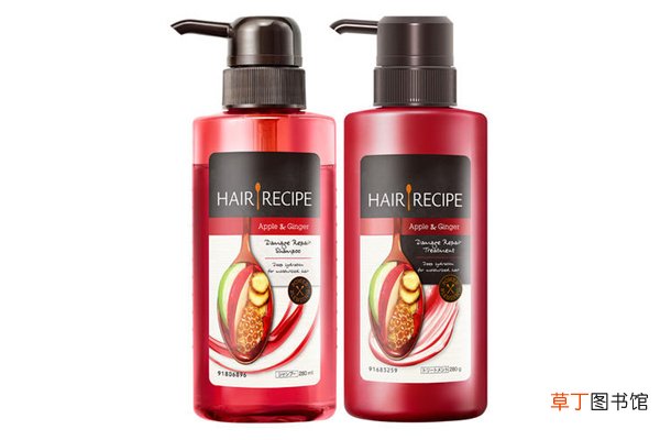 hair recipe哪国的洗发水品牌