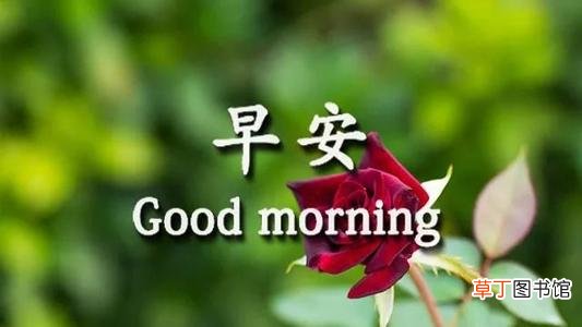 早上问好的撩人情话有哪些？超详细解答