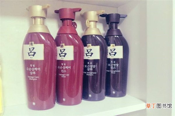 吕洗发水哪个颜色不含硅油