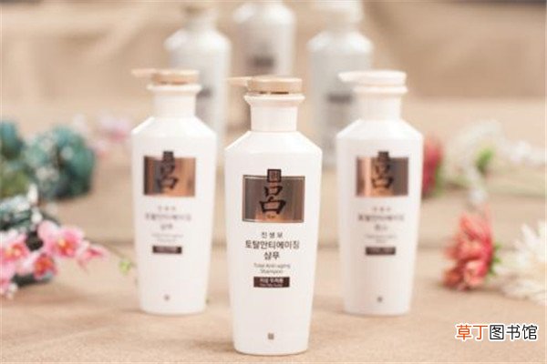 吕洗发水哪个颜色不含硅油