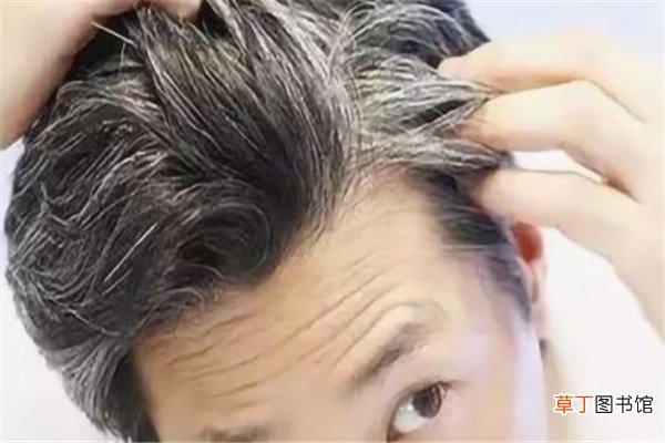 白发多不染了剪啥发型