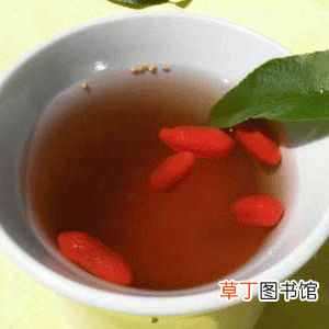 枸杞子泡水喝的功效