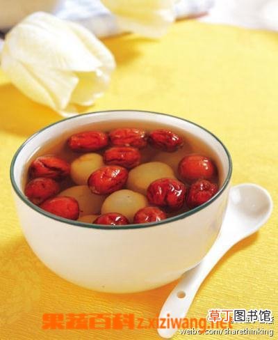 枸杞子泡水喝的方法