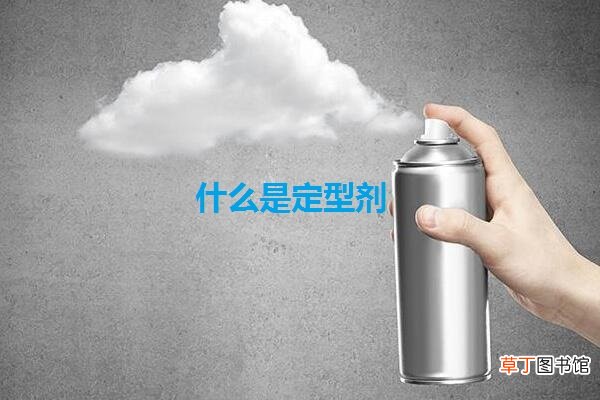 什么是定型剂